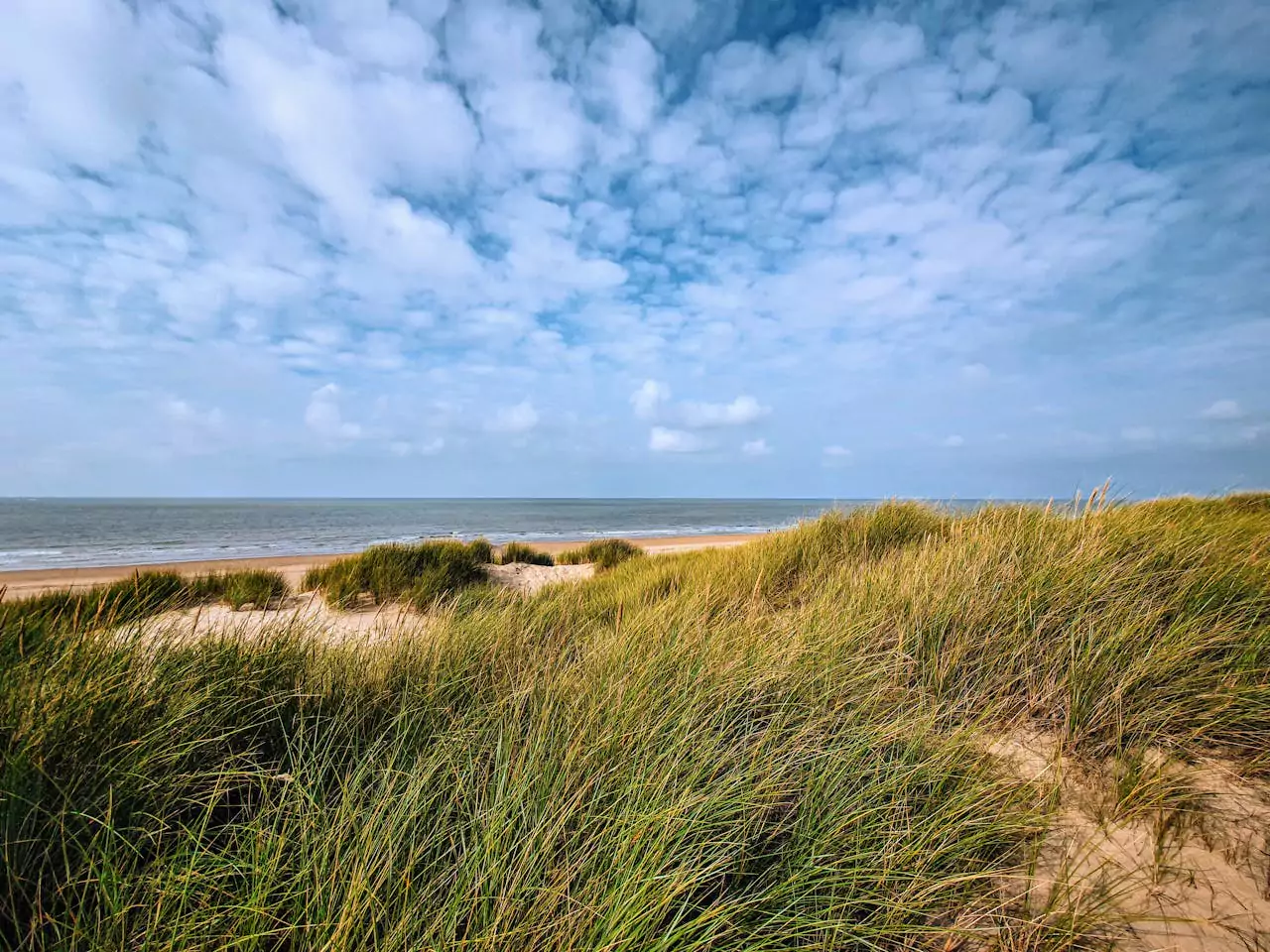 plage et dunes Ostende